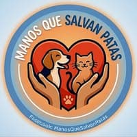 Manos que salvan Patas no diretório AnimalProtech
