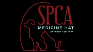 Logotipo de la organización Medicine Hat SPCA