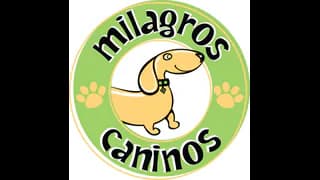 Logotipo de la organización de protección animal Milagros Caninos