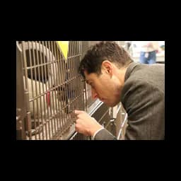 Fotografía oficial de Minneapolis Animal Care and Control de una persona con un gato