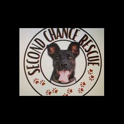 Natalie's Second Chance Dog Shelter logo