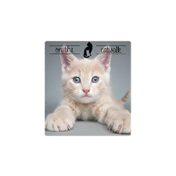 New Beginnings Animal Rescue logo
