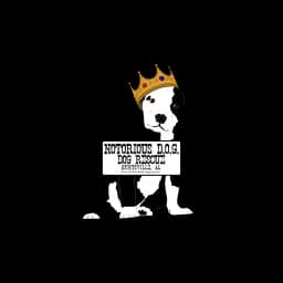 Logotipo de Notorious D.O.G. Dog Rescue