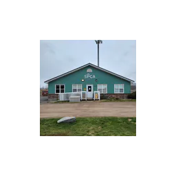 Original photograph of the local Nova Scotia SPCA shelter