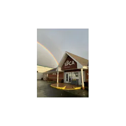 Original photograph of the local Nova Scotia SPCA shelter