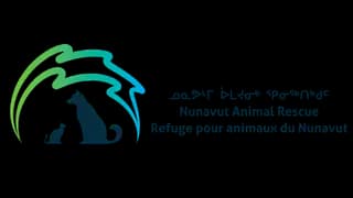 Logotipo de la organización Nunavut Animal Rescue