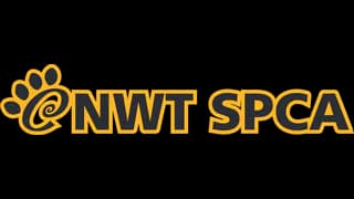 Logotipo de la organización NWT SPCA