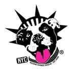 NYC Seconde Chance no diretório AnimalProtech