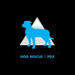 Logo de One Tail at a Time PDX