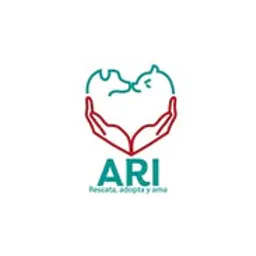 logotipo Organización ARI
