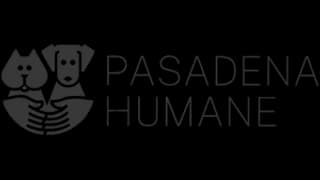 Imagem oficial do perfil da Pasadena Humane