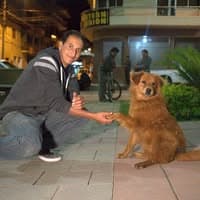 Patitas de Amor no diretório AnimalProtech