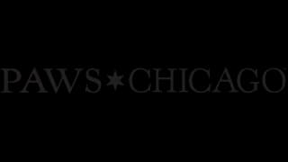 Logotipo oficial de PAWS Chicago