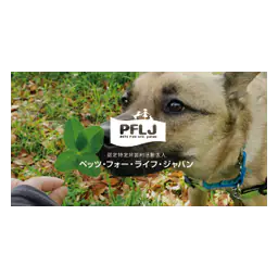 Fotografía oficial de perro de Pets for Life Japan