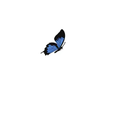 Pilpintuwasi logo