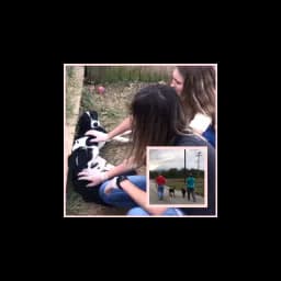 People caring for dogs in a Poteau Valley Humane Society website photograph