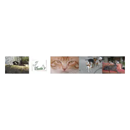 PRADO - Asociación Protectora de Animales y Plantas de Don Benito logo