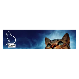 Banner do site oficial de Progat Catalunya