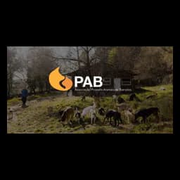 Associação Projecto Animais de Barcelos logo