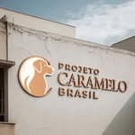 Projeto Caramelo Brasil no diretório AnimalProtech