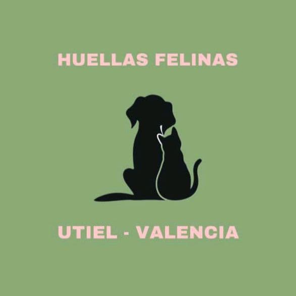Huellas Felinas dans l’annuaire AnimalProtech