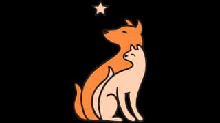 Logotipo oficial da Roanoke Valley SPCA