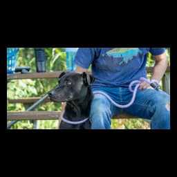 Empleado con un perro en Rogers Animal Shelter