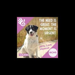 Imagen de campaña de Routt County Humane Society en ColoradoGives