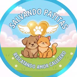 Salvando Patitas no diretório AnimalProtech