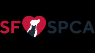 Imagen oficial del perfil de San Francisco SPCA