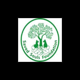 Saved Souls Foundation logo