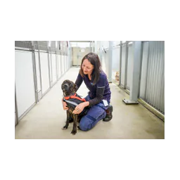 Refugio Shoalhaven Animal Shelter