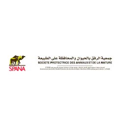 logotipo SPANA Maroc