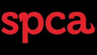 Imagen oficial del perfil de SPCA Cincinnati