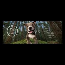 Image shown on the official website of SPCA of Hancock County, Maine
