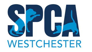 Official profile image of SPCA Westchester