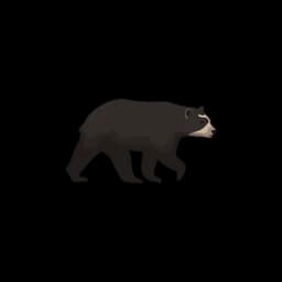 logotipo Spectacled Bear Conservation Society
