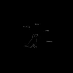 logotipo Starting Over Dog Rescue