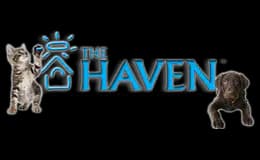 Official logo of The Haven