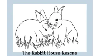Official logo of The Rabbit House Rescue