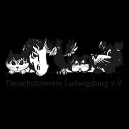 Tierheim 'Franz von Assisi' logo