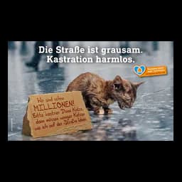 logotipo Tierheim Moers