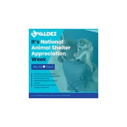 Official Valdez animal shelter appreciation graphic with a person holding a dog