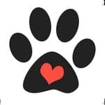 Vira Latas com Raça no diretório AnimalProtech