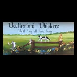 Logotipo oficial de Weatherford Whiskers