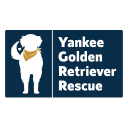 Logotipo de Yankee Golden Retriever Rescue en su sitio oficial