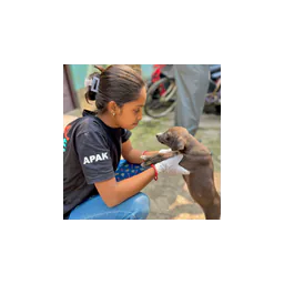 logotipo Animal People Alliance Kolkata