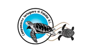 Campamento Tortuguero El Habillal animal protection organization logo