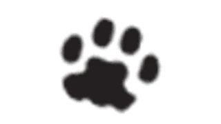 Imagen oficial del perfil de Humane Society of Chittenden County