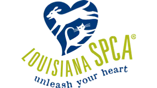 Official profile image of Louisiana SPCA Foundation